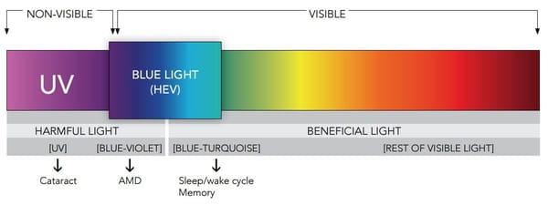 Visual representation of where High-energy Blue light sits on the visible light spectrum