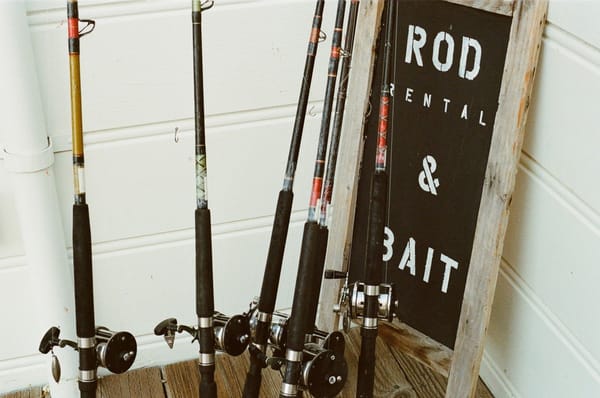 rod-reel-bait